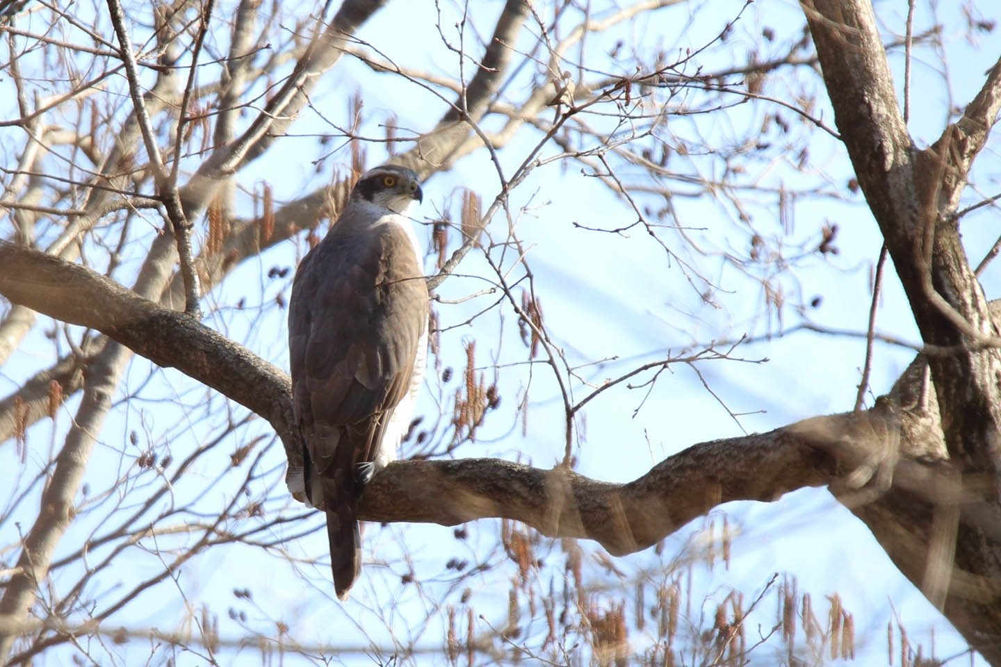 Canon EOS 6D + TAMRON SP 150-600mm F/5-6.3 Di VC USD (A011)